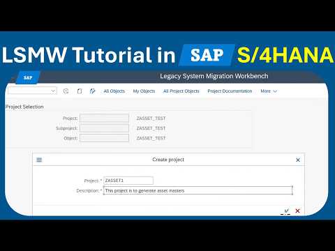 How to Use LSMW in SAP