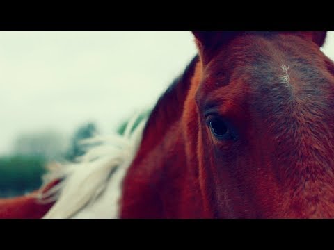 GIOVANNI tha KING - My Galaxy Feat. Paisley Starfire