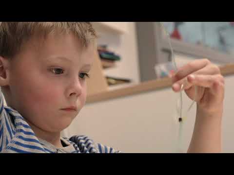 Nutsbasisschool Boeimeer