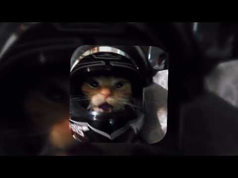 Dani Flow, Uzielito Mix - ME VENGO EN TU BOCA [Slowed]