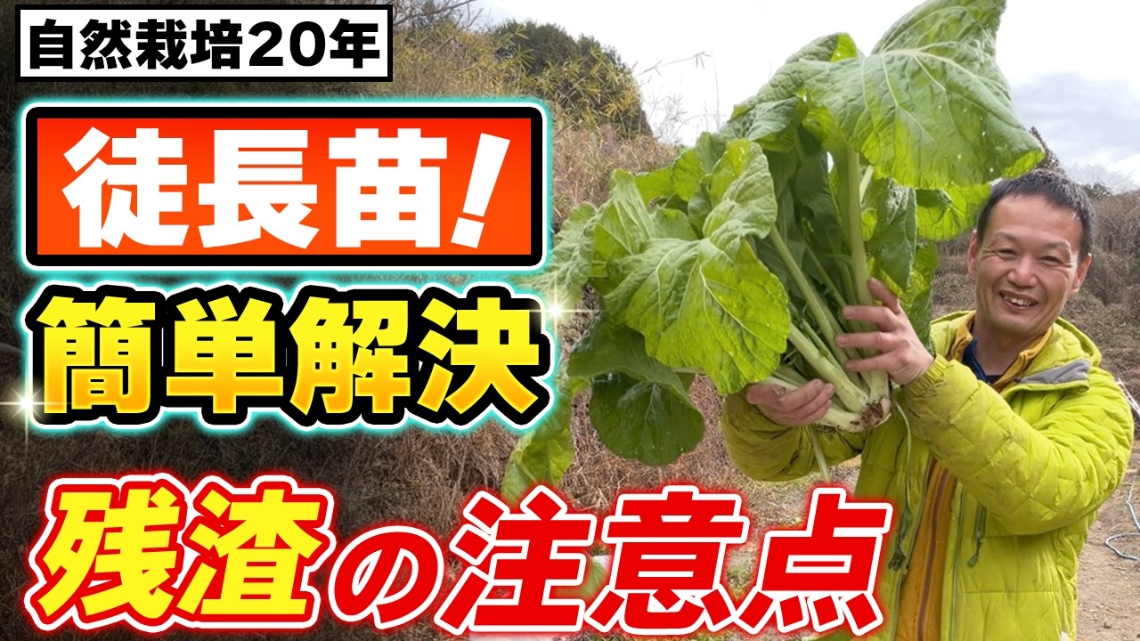 徒長苗のリセット法と残渣の扱い方