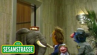 Ein Elefant als Fahrstuhlführer | Sesamstraße