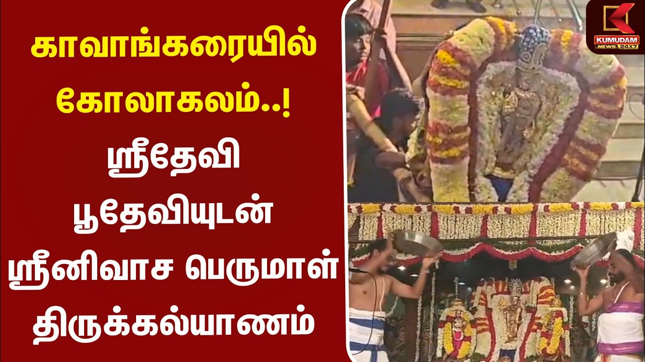 ஸ்ரீதேவி பூதேவியுடன் ஸ்ரீனிவாச பெருமாள் திருக்கல்யாணம் | Srinivasa Perumal Thirukalyanam |Kavangarai