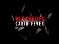 Wiz Khalifa - WTF (bass boosted) 