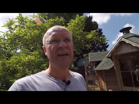 Does BOYA BY-M1 mic work on GoPro Hero 5 black session or Hero6 or 7?