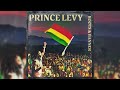 Prince Levy Roots Banner Official Audio