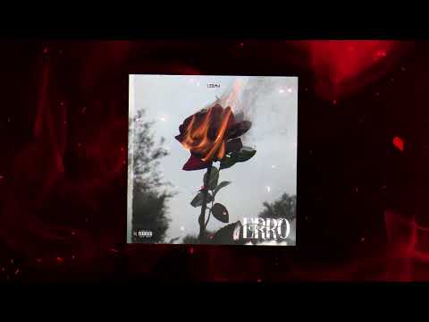 ERRO- William Sardinha (feat. Mulatooh) VISUALIZER