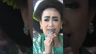 Download lagu TAYUB TUBAN TUKU TIMUN  #tayubtuban #kesenianjawa #zusintabaru #dangdutkoplo  #agungbudoyo mp3