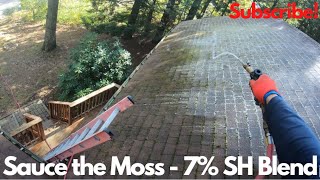 Killing Moss On These Shingles With Bleach