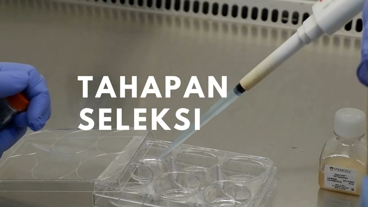 Reprogramming Fibroblast Into Human Induced Pluripotent Stem Cells (HIPSCS)