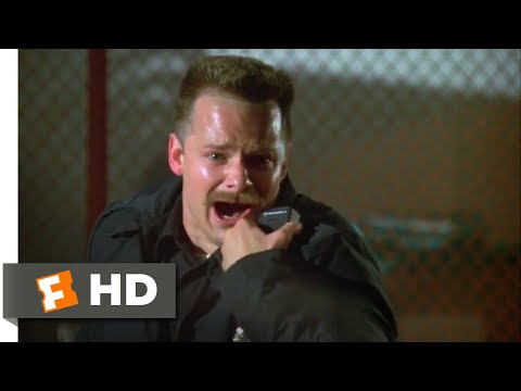 國家安全 (2003) - 警官被打倒!(1/10) | 電影剪輯片斷 (National Security (2003) - Officer Down! Scene (1/10) | Movieclips)