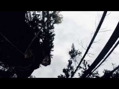 Johnny Stalk - Johnny Stalk - Together