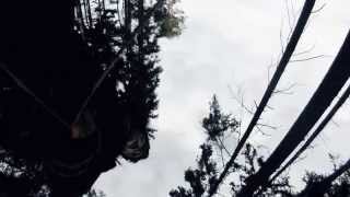 Video Johnny Stalk - Together