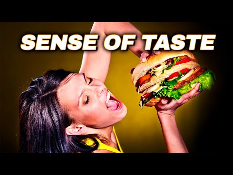 How It Works: The Sense Of Taste