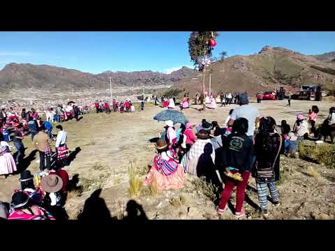 CORTE MONTE DE LOS ANDES PUNO