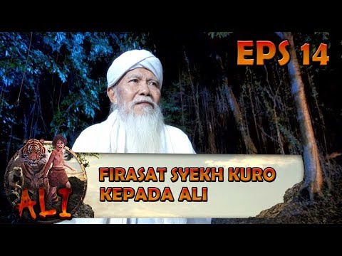 Syekh Kuro Firasat Ali Sedang Dalam Bahaya - ALI Eps 14