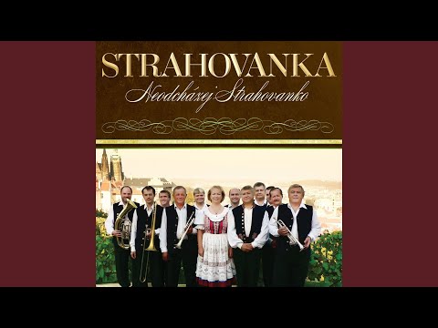 Červená růžička