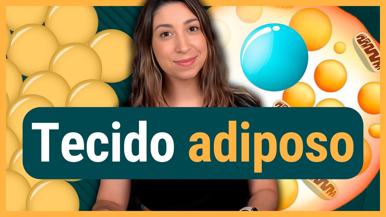 TECIDO ADIPOSO | Histologia