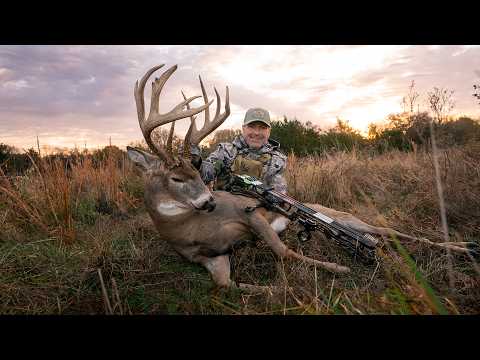 191" KANSAS GIANT | NEW MATHEWS ARC