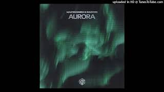 Martin Garrix &amp; Blinders - Aurora (Extended Mix)