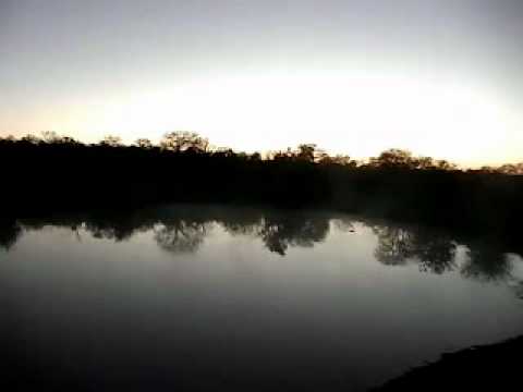 Hyena Clan Sounds - Djuma Gowrie Dam - Aug 3, 2011