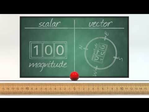 One-Dimensional Kinematics