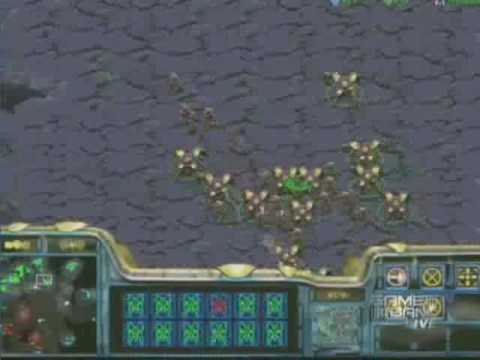 protoss FPVOD LX vs Puma PGL 4 game 2-2 PVT