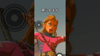 落下の時のリンクの表情 #ゼルダの伝説 #リンク #ブレワイ #ティアキン