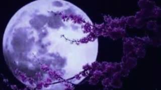 Glory of love (gloria de amor subtitulado Peter catera)