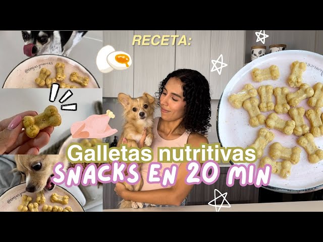 Vídeo relacionado con WOW BITES Premium Snacks para Perros - Chuches de Larga duración elaboradas con Leche Natural - Huesos de Queso masticables Extra Pequeños (100 g, Juego de 4, Talla XS)