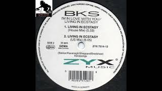 BKS - Living In Ecstasy (US Mix)