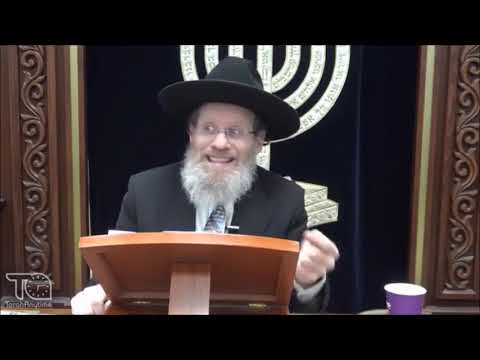 Vayechi–Pekodei-Bechokotai-Massei–Shabbat–The Question–No Chazak Chazak V'nitchazek (English)