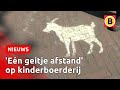 Kinderboerderij weer open, dieren blij | Omroep Brabant