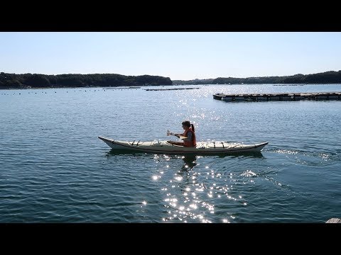 A Beautiful Ocean Town in Japan