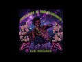 Kali Dreamer I Was Too Broke To Be Goth In High School