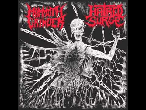 Hatred Surge - Invega