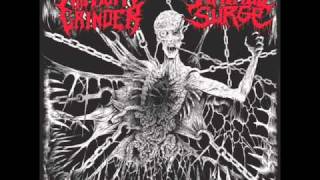 Hatred Surge - Invega