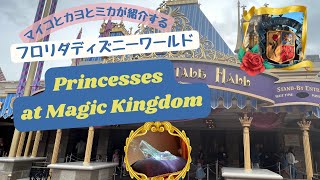 プリンセス好き必見‼プリンセスに会えるスポットを紹介します。Magic Kingdom編