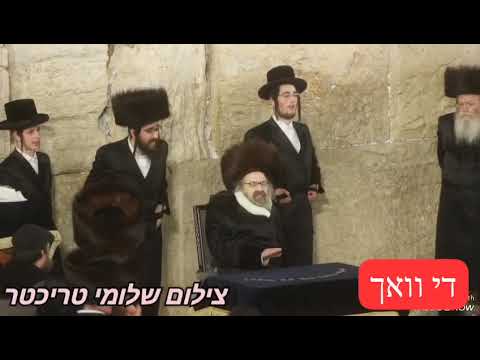 Viznitz London Rebbe At the Kosel
