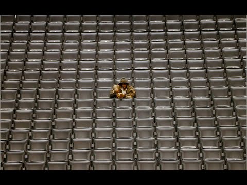 YoungBoy Never Broke Again - Shark [Official Music Video]