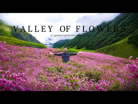 कैसे वैली ऑफ फ्लावर, मेरठ के यात्रियों को शांति, सौंदर्य और अपनापन महसूस कराती है