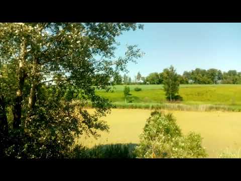 Земельный участок Курская обл