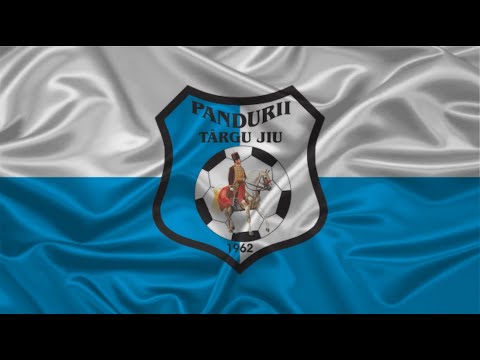 IMN PANDURII TÂRGU JIU