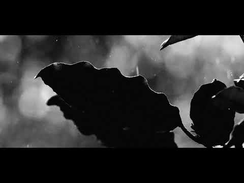 Les Yeux d'Anna - Présentation 