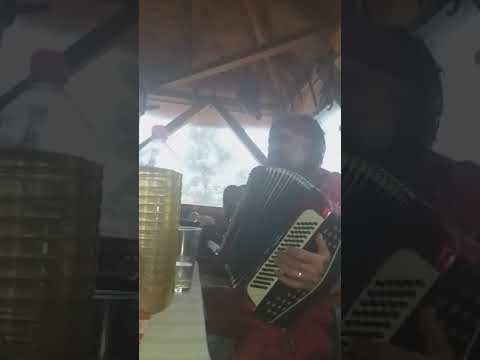 cedo djacic gusla na harmonici