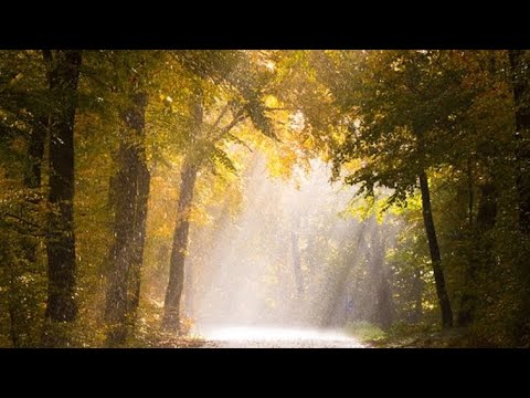 Raining While The Sun Shines - Dubnall33