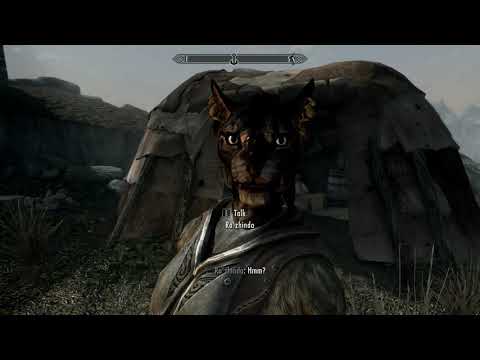 talking to and then killing Ra'zhinda, a khajiit caravan guard