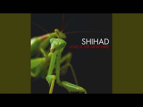 Big Future - Shihad