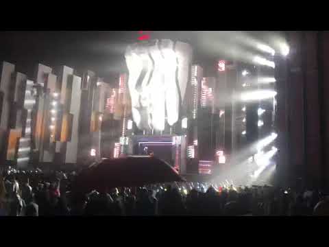 Digital Koala - Grizzly (AFP 2019 supported by Apashe)