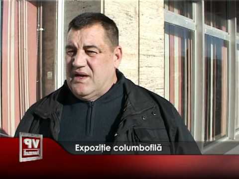 Expoziţie columbofilă